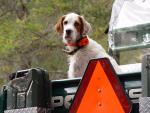 weatherby's Avatar